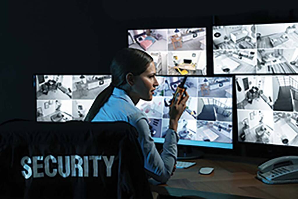 Flexible Security Services